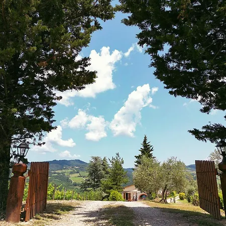 Tenuta Il Poggetto Radda in Chianti