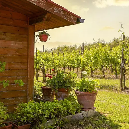 Tenuta Il Poggetto *
