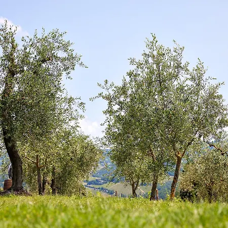 Country house Tenuta Il Poggetto Radda in Chianti