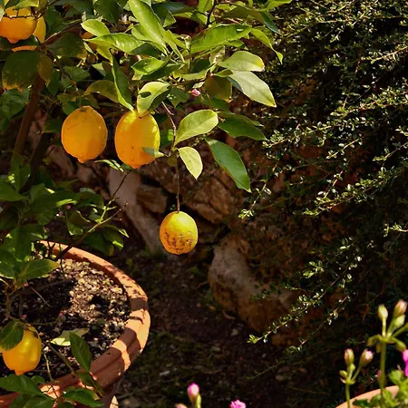 Tenuta Il Poggetto * Radda in Chianti
