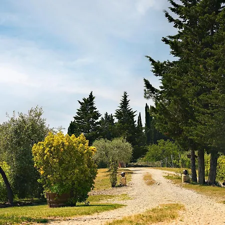 Tenuta Il Poggetto Radda in Chianti