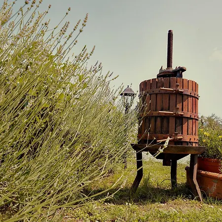 Country house Tenuta Il Poggetto Radda in Chianti