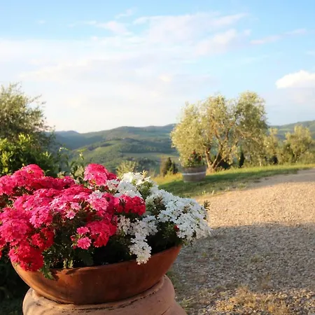 Casa de Campo Tenuta Il Poggetto *